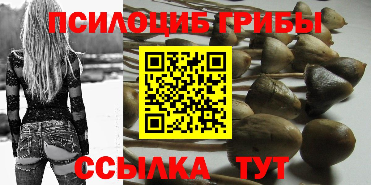 Печора  Псилоцибиновые грибы мухоморы  Вход с VPN  Псилоцибиновые грибы Magic Shrooms 
